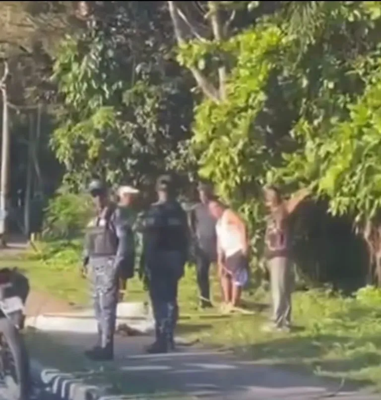 0c86b792-6d59-42af-aa53-7b2bb50d403f