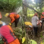 Composicion-de-fotos-de-Robert-Dorgan-o-Roberta-Esposito-6